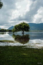 THE LONELINESS OF A WILD LAKE LOW RESU